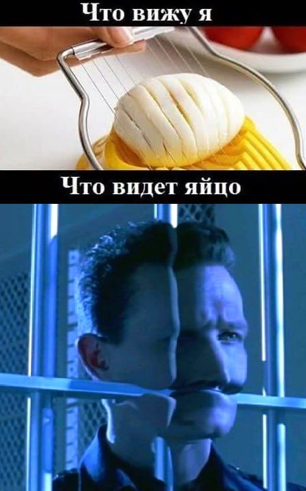 Точка зрения