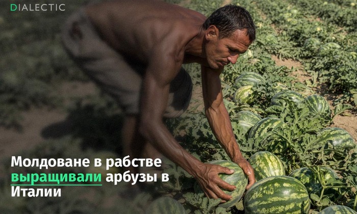 Полиция Италии освободила более 50 молдаван с арбузных плантаций