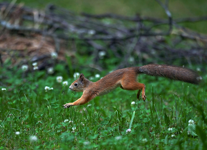 :   <a href="https://pikabu.ru/story/v_polyote_13364012?u=https%3A%2F%2Frtraveler.ru%2Fphoto%2F1411467%2F%3Fauthor_photos%3D1&t=%D0%BE%D1%82%D1%81%D1%8E%D0%B4%D0%B0&h=c188b8b3175546a0e16a098a1423ba1cd355d783" title="https://rtraveler.ru/photo/1411467/?author_photos=1" target="_blank" rel="nofollow noopener"></a>