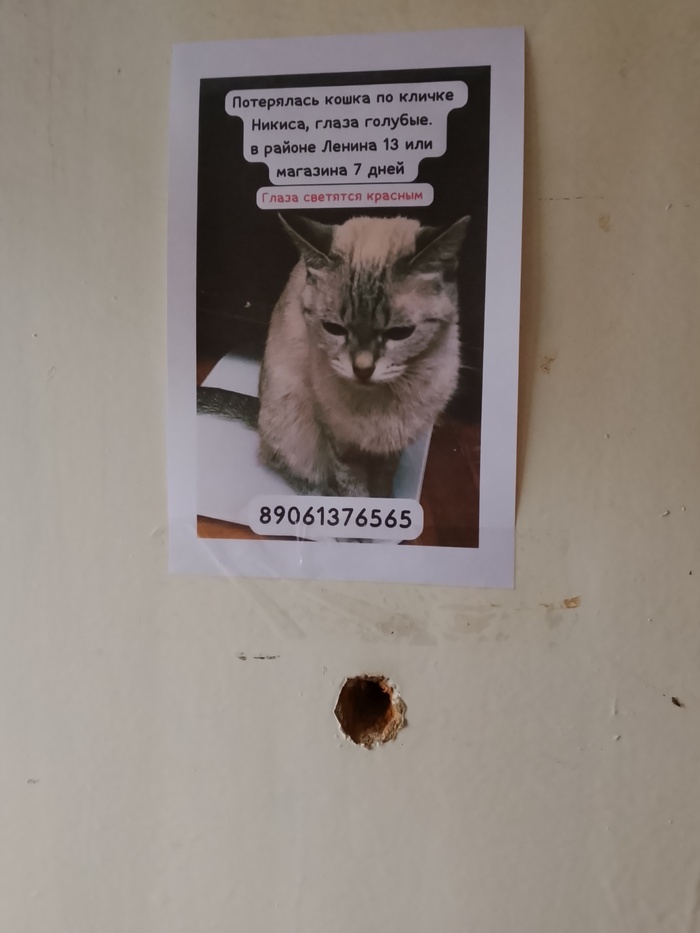 Никиса с красными глазами