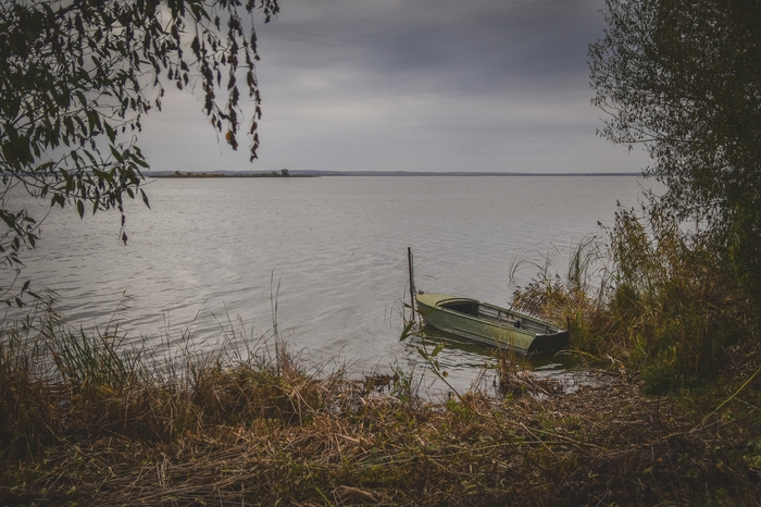 Пасмурное утро