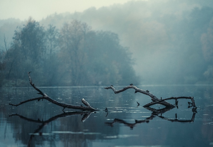 Я живу на слиянии рек, я читаю булгаковский "Бег," и наблюдаю за тем, как кончается век