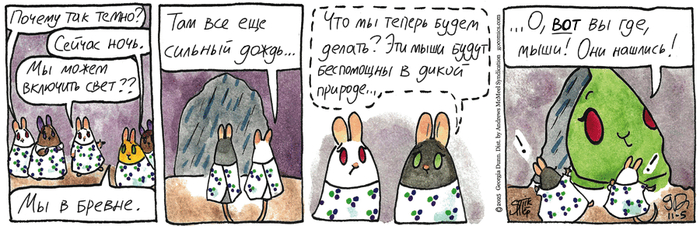 Котейкины Новости от 05.11.2025