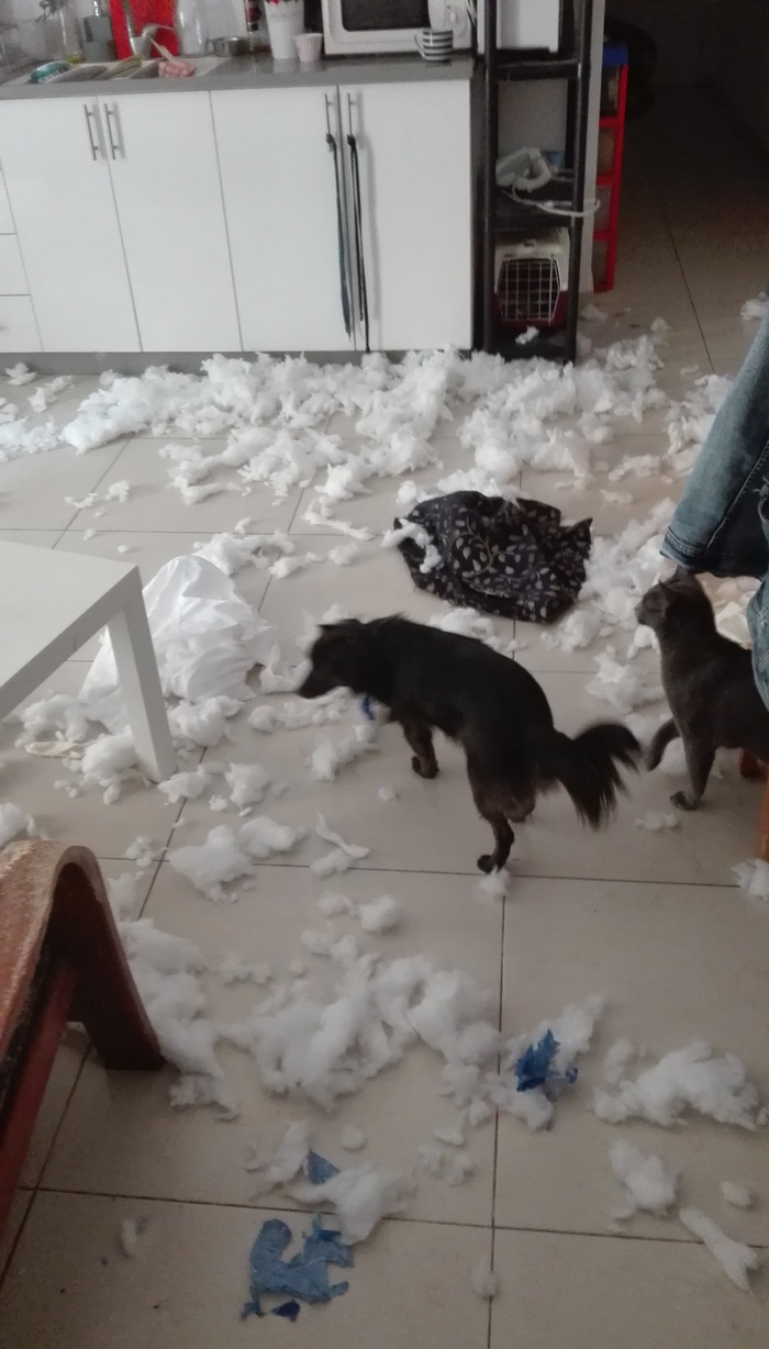 Виновник заныкался