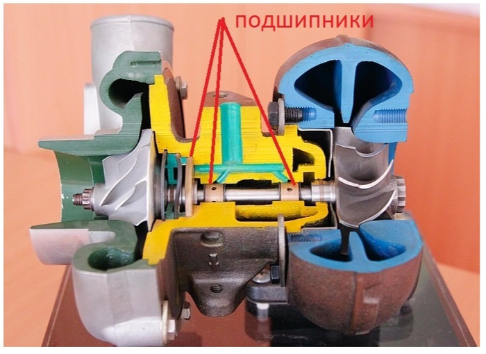 Турбина в разрезе