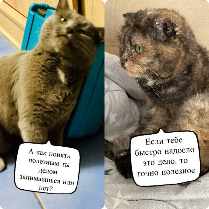 Польза она такая