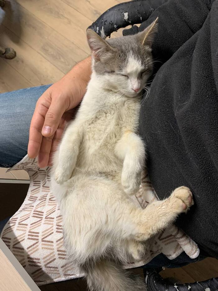   &quot;  ..&quot;     ..?