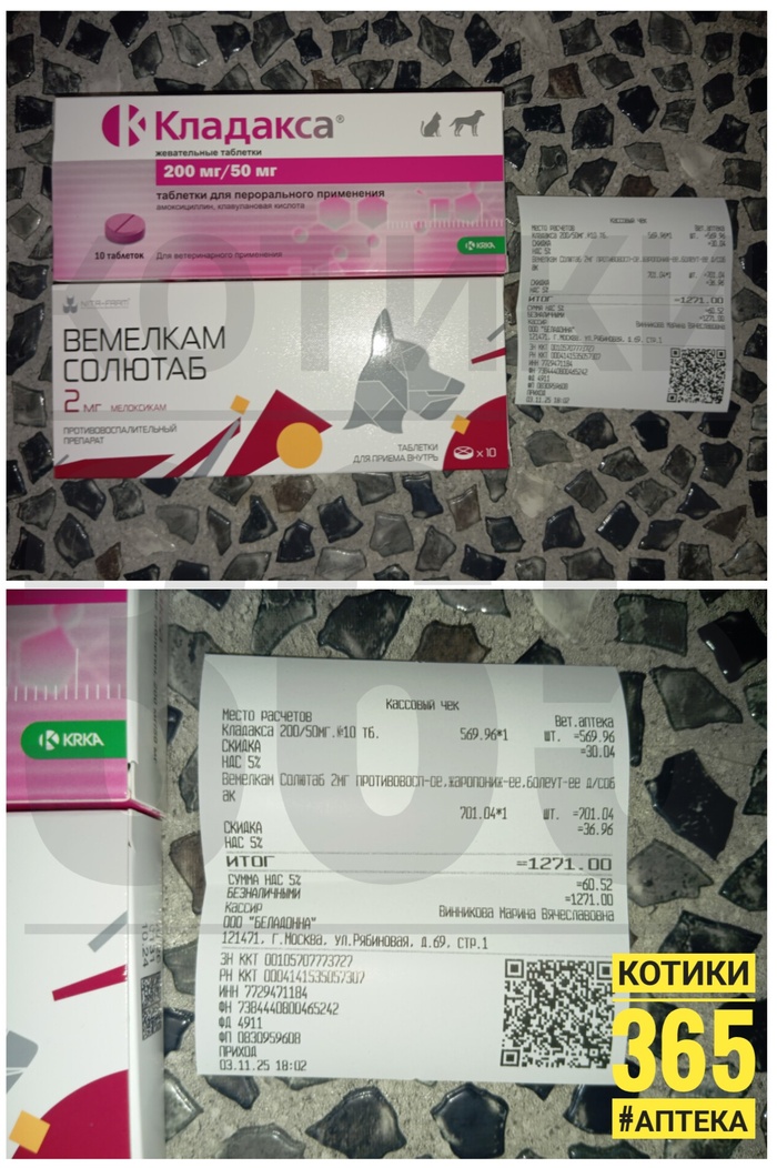 Антошка 02.11.2025