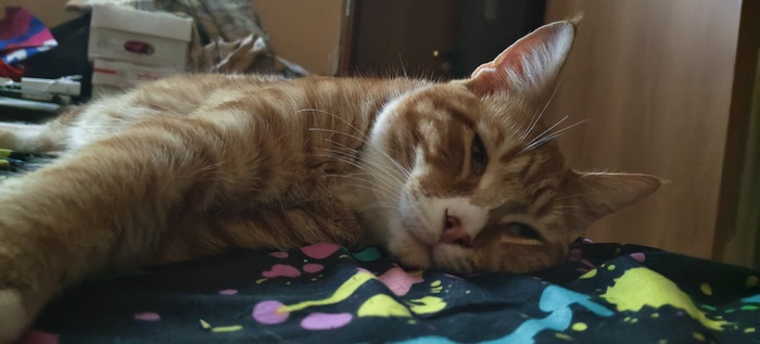 Когда весь день работал, был занят очень важными делами, очень устал, и прилёг посмотреть сериальчик