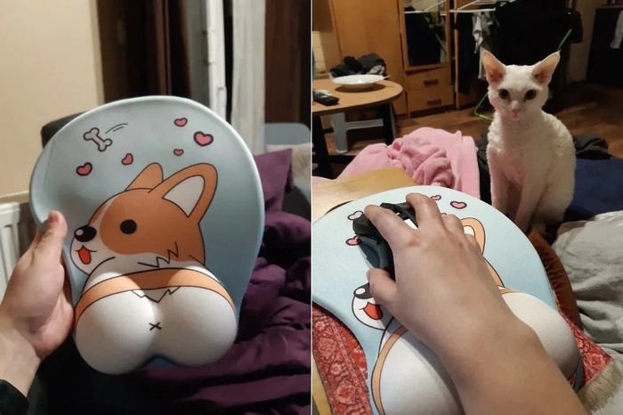 Так. вроде удобно.. но, кажется, коту нужны объяснения