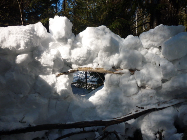 A Song of Ice and  Valenok.  