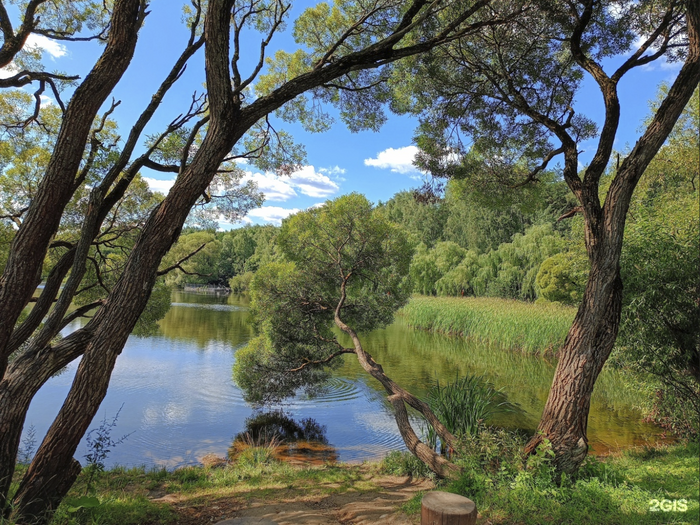 Автор фото: Николай Забелин