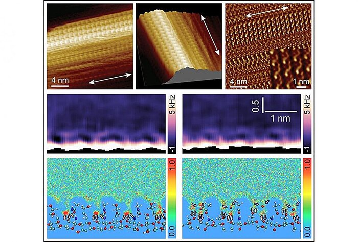 АСМ-изображения поверхностей нанокристаллов β-хитина с высоким разрешением и межфазной молекулярной организации воды вблизи этих поверхностей.
