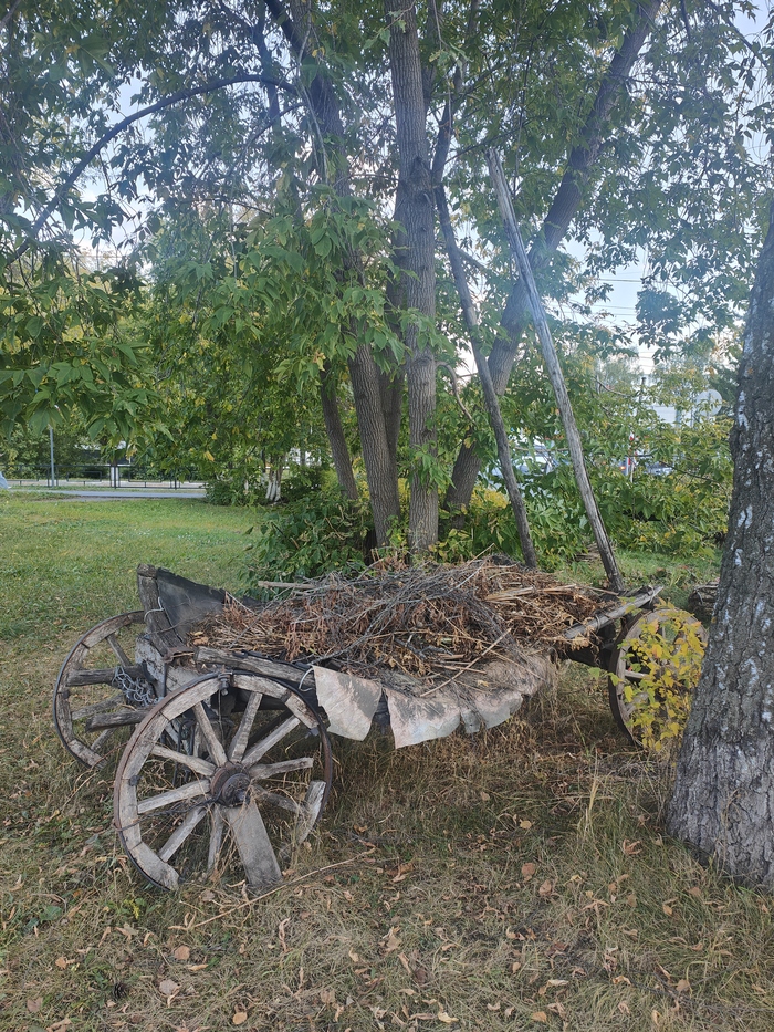 Инсталляция возле музея. Телега.