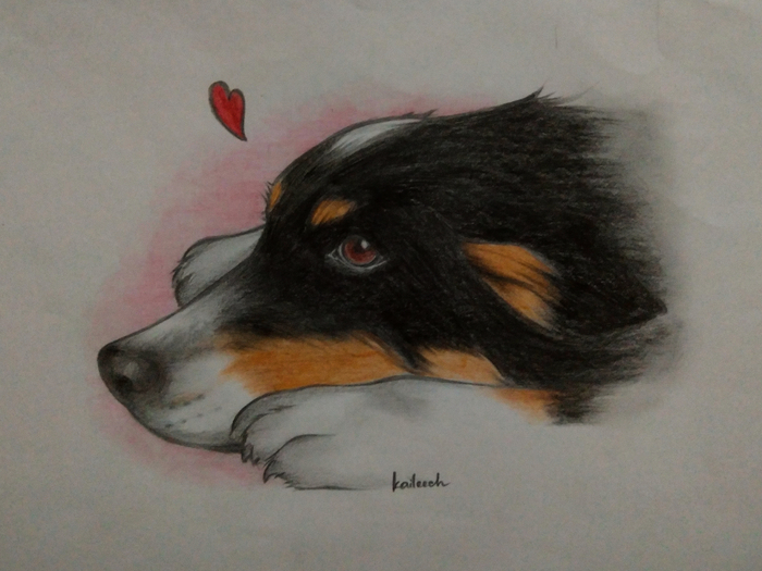 Недавно нарисовала нашу Феону, нашу Фенечку 🤗🐶💕