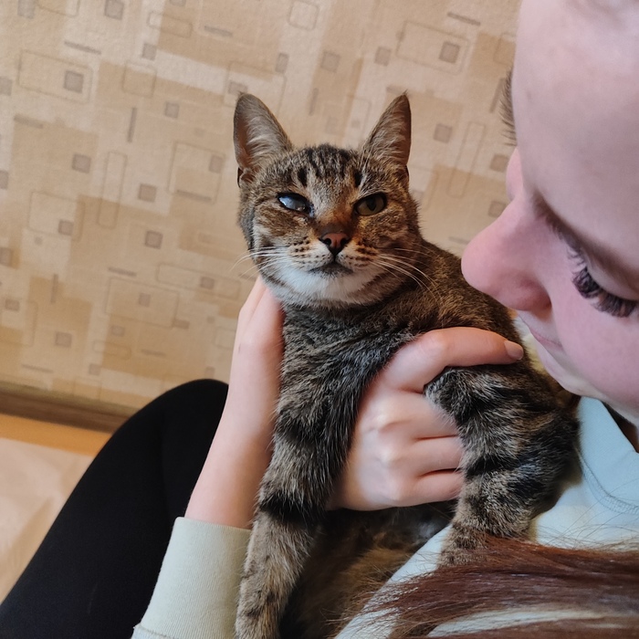 Кошечка в добрые руки