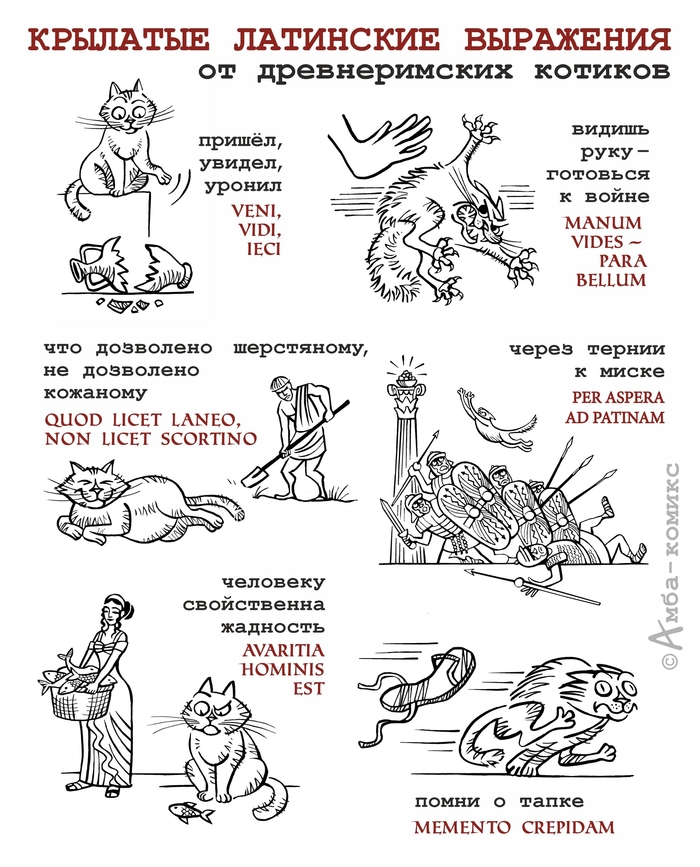   <!--noindex--><a href="https://pikabu.ru/story/manum_vides__para_bellum_13375932?u=https%3A%2F%2Fvk.com%2Famba_comics&t=https%3A%2F%2Fvk.com%2Famba_comics&h=35c140b46b233695c72d760d749ef5dcb54f3025" title="https://vk.com/amba_comics" target="_blank" rel="nofollow noopener">https://vk.com/amba_comics</a><!--/noindex-->