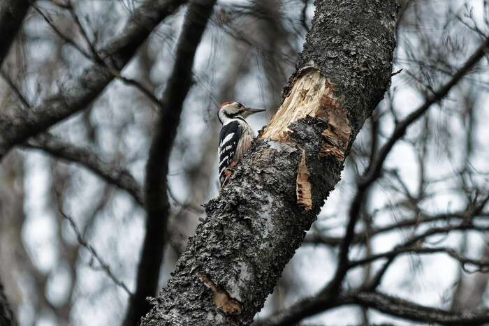 Типичный ноябрь