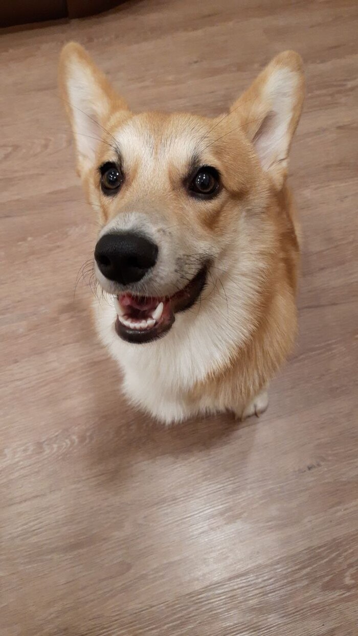 ����-�����.