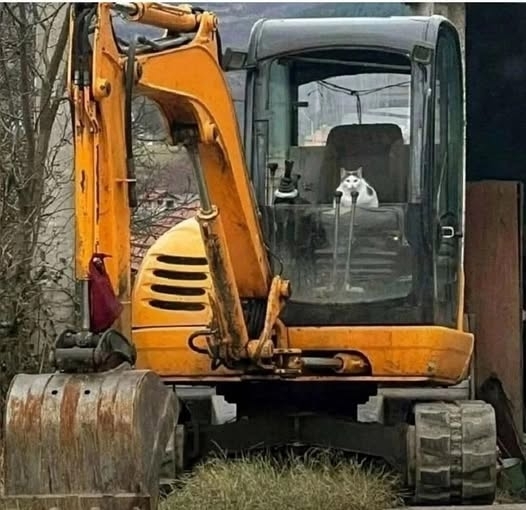 Экскаваторщик года