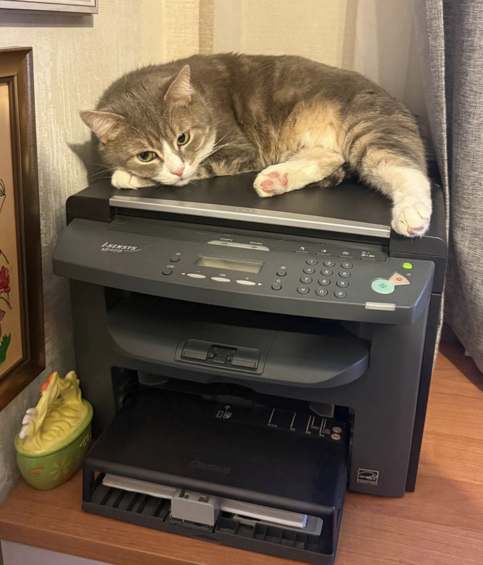 Ответ на пост «Экскаваторщик года»