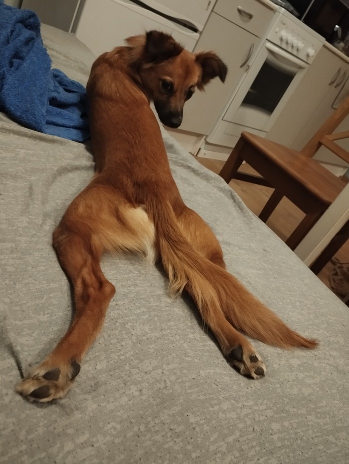 ����� �� ���� ������� ������ �������!�