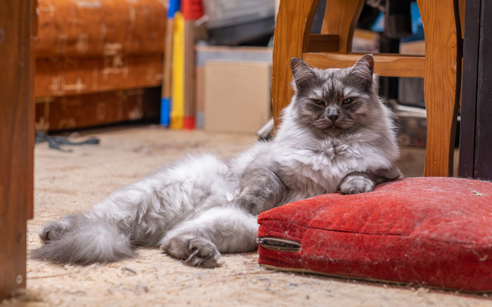  . . .       .           .