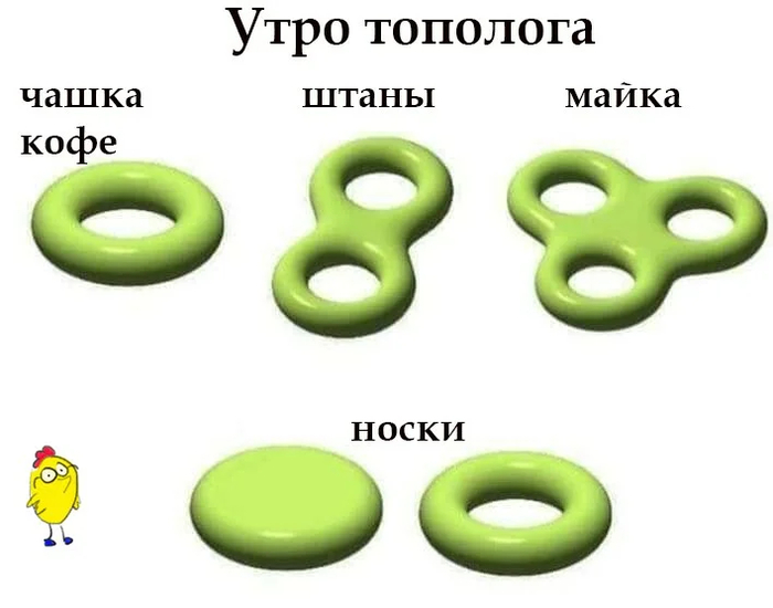 Я тополог, я так вижу!