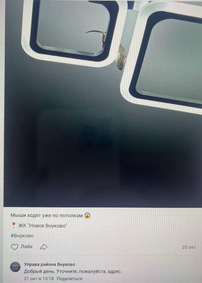 21.10.2025,   .  ,      2 :  2023   .