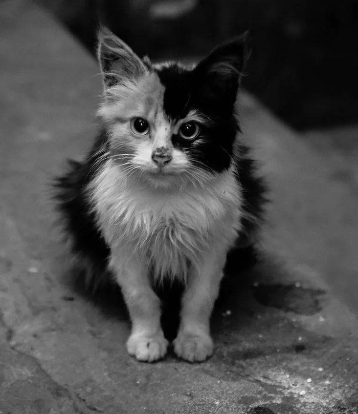 А ты возьмёшь?