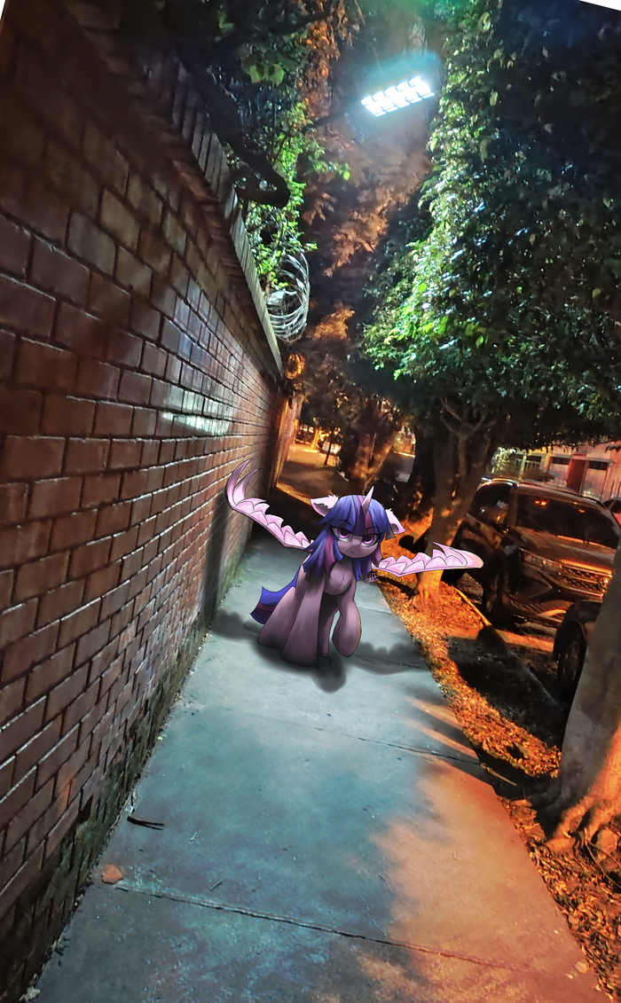 Пони в реальности?