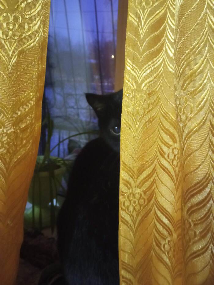 Игра в прятки)