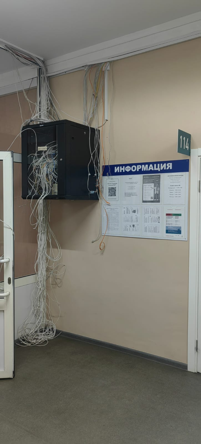 IT ��������