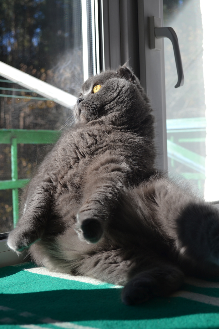 Ушел на радугу...