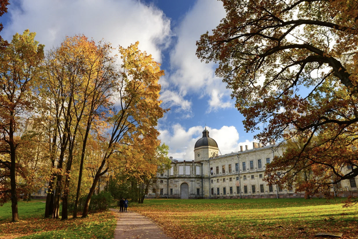 Источник: Яндекс Карты