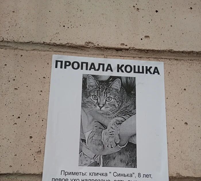 �������� �����