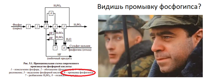Суслик фосфогипс - кот Шрёдингера лижет свои яйца Гейзенберга