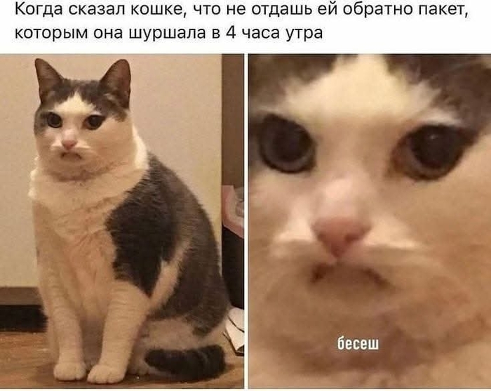 КОШИЧКИН ДОГОВОР