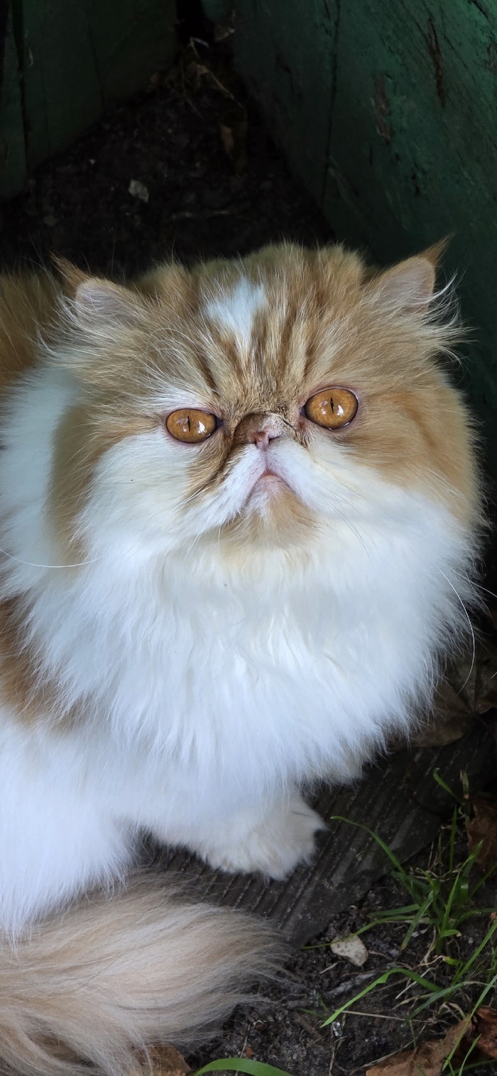   3 ,       ,     , , )