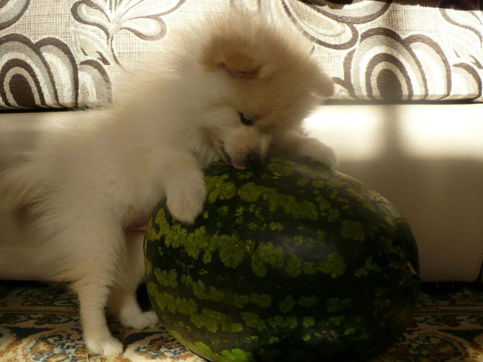 Первое фото дома.