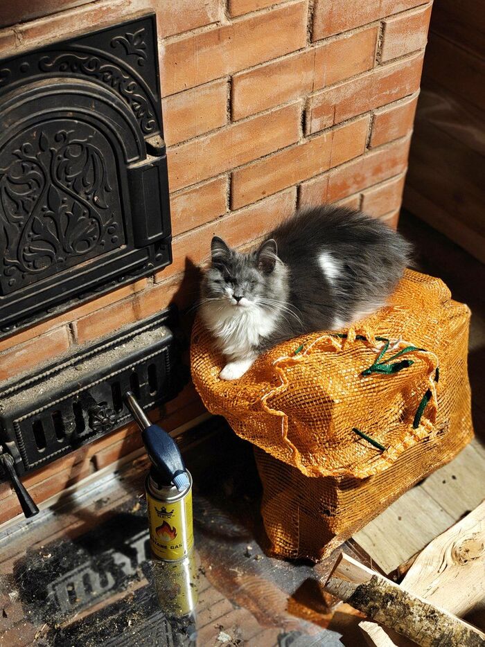 Продолжение поста «Новости об Алоше после операции»