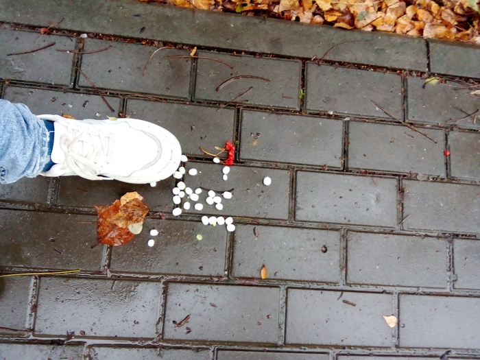   .  ,    ,    . ...    ?