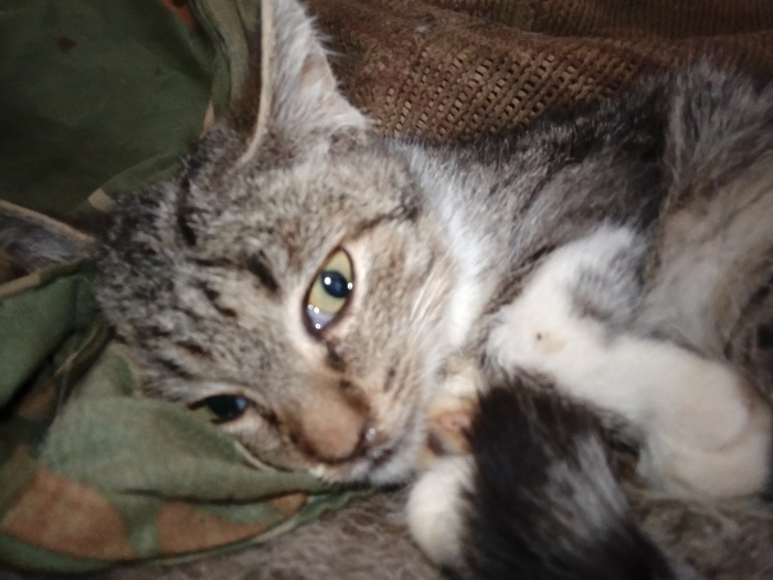 Савелий болеет