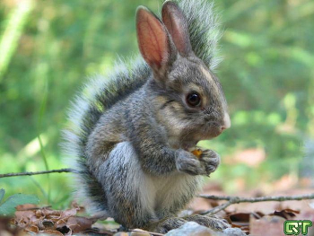 Ответ на пост «Где ты?»