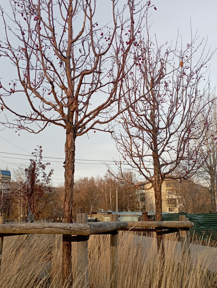 это буквально неделю назад