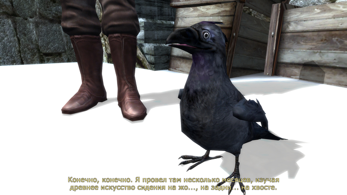 Ворон просто шикарный собеседник.