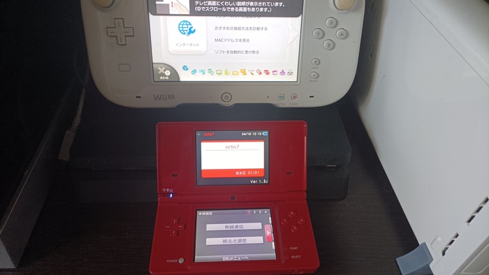 Японские DSi и Wii U