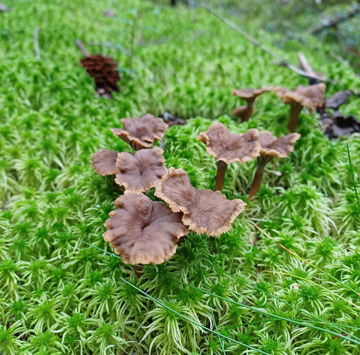 Фото Е. Симоновой.