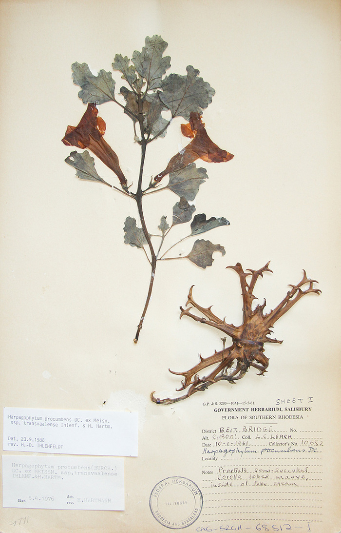  .    <!--noindex--><a href="https://pikabu.ru/story/lekarstvennyie_kogot_dyavola_13424496?u=http%3A%2F%2Fklau.club&t=klau.club&h=52952dd318131818e367e30dff1e421fdf0b511a" title="http://klau.club" target="_blank" rel="nofollow noopener">klau.club</a><!--/noindex-->.