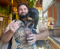 ����������� � ���������